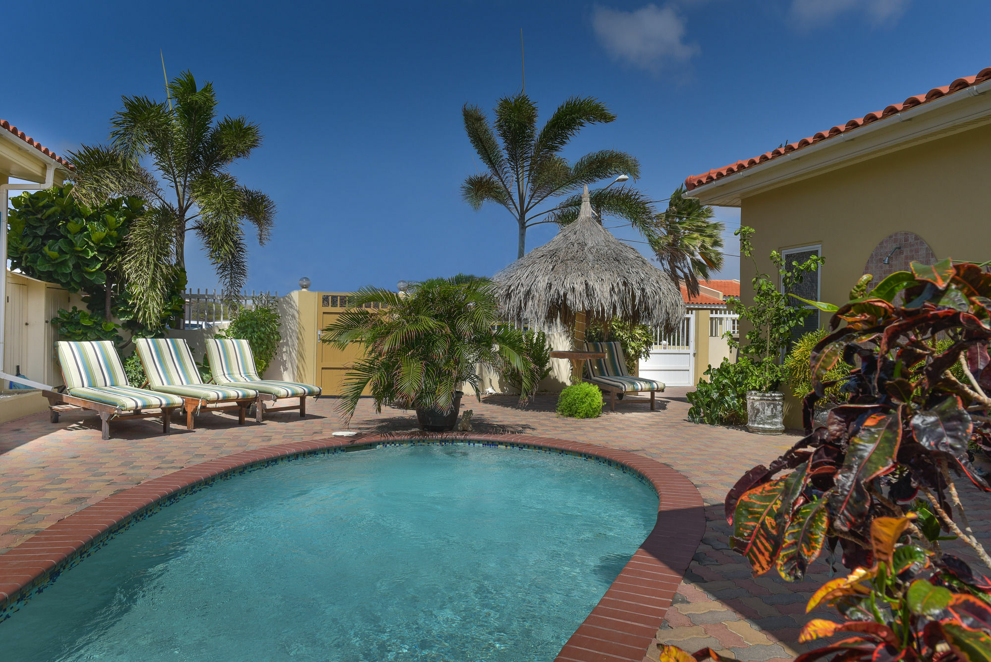 פאלם ביץ' Little Paradise Aruba Vacation Apartments מראה חיצוני תמונה